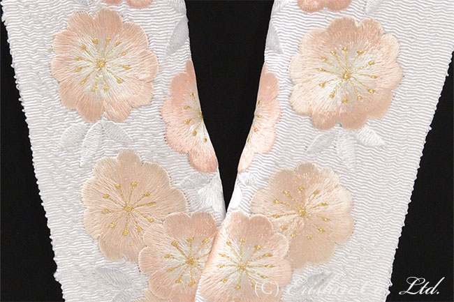 半衿 半襟 牡丹桜