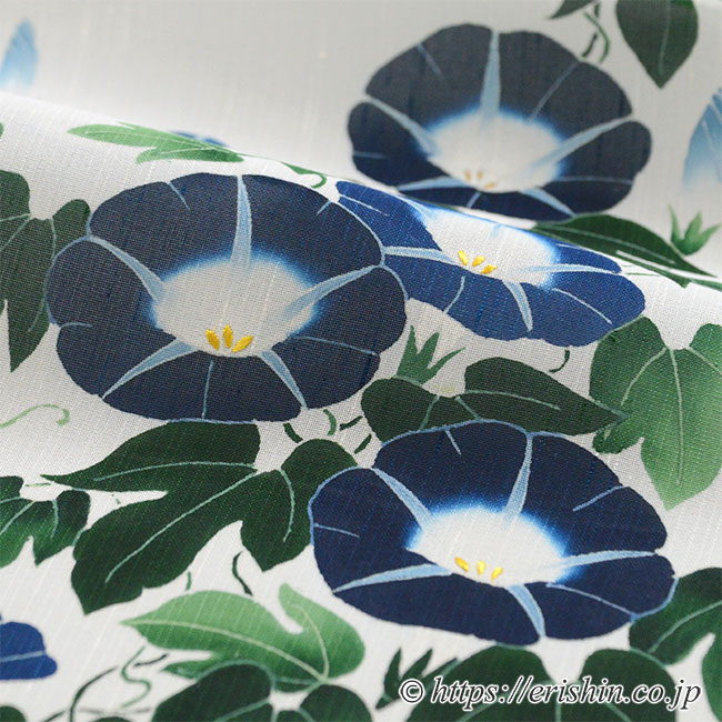 染名古屋帯（朝顔） [夏・単衣向]染めの川勝『着物・呉服えり新』